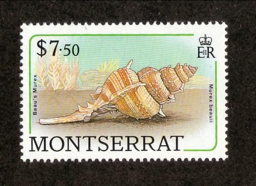 1988 montserrat 695 mnh sea - 1988,