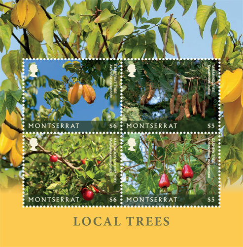 Montserrat 2018 local trees - 2018,